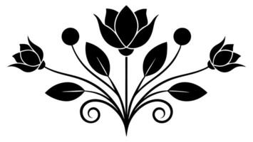 Free floral botanical ornaments for headings and borders design vector