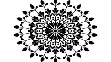 Free floral dividers ideal for creative projects. vector