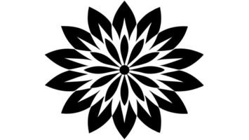 Simple floral free ornaments perfect for headings and endings vector