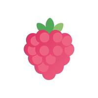 Fresh Raspberry Icon Design vector