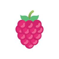 Tasty Raspberry Icon Design vector