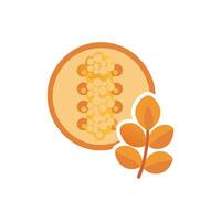 Nutritious Quinoa Icon Design vector