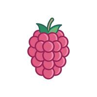 Sweet Raspberry Icon Design vector