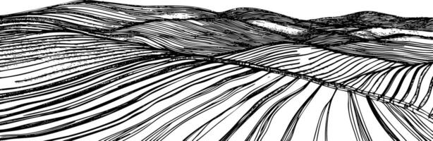 Abstract black and white landscape with flowing lines and curves. vector