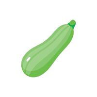 a green zucchini on a white background vector