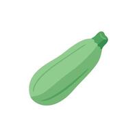 Savory Zucchini Icon Design vector
