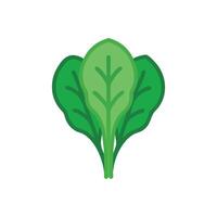Fresh Spinach Icon Design vector