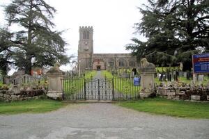 A large tree in front of the church photo