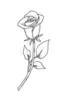 A black and white sketch of a rose. The flower icon is hand-drawn. vector