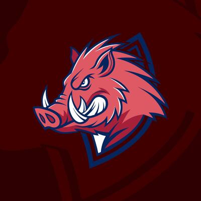 Boar head gaming e-sport logo with fierce and dynamic design for esports teams