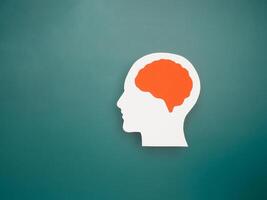 A brain shape made from paper on a green background photo