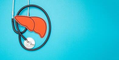 A stethoscope and liver shape made of paper are over a light blue background photo