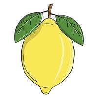 a lemon with leaves on it is shown vector