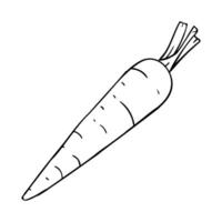 a carrot is drawn in black and white vector
