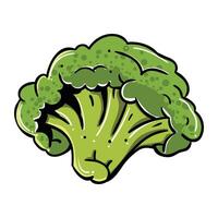 a broccoli head is shown on a white background vector
