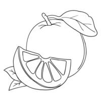 an orange and slice of fruit are outlined in black and white vector