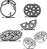 a set of four different citrus fruits, including an orange vector