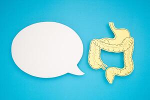 White speech bubble and a large intestine shape made from yellow paper over a blue background photo
