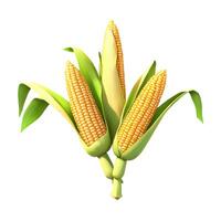 A single corn cob on a pure white background, showcasing the rich, yellow color and fine details of each kernel. photo