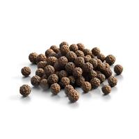Whole black peppercorns scattered on a pristine white background, highlighting their smooth texture and natural richness. photo