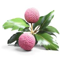 Close-up of a lychee fruit with its spiky outer skin, placed on a minimal white background for contrast. photo