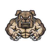 bulldog illustration muscular attacking with claws design logo on white background vector