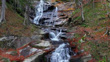 otoño cascada rodeado por dorado hojas, cascada terminado rocas en un tranquilo bosque ajuste con un sedoso agua fluir mediante el sereno paisaje video