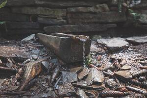 Water flowing from a rustic wooden spout in a mountain spring, surrounded by rocks, pine cones, and natural forest debris, highlighting the simplicity of nature resources photo