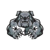 bulldog pose muscular attacking with claws design logo illustration vector