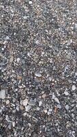 The consequences of celebrating the New Year holidays on the seashore, video