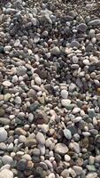 Exploring the diverse textures and colors of pebbles along the serene shoreline at sunset video