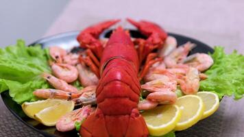 Close-up of a big cooked red lobster on crushed ice with lemon, lime on the side. Concept of fresh juicy whole lobster presented in a luxury way with wages of tropical fruits on the table in 4K. video