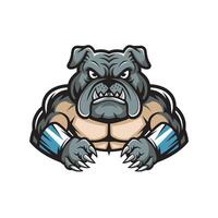 bulldog muscular attacking with claws design logo on white background vector
