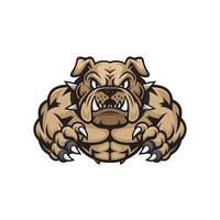 bulldog muscular attacking with claws design logo vector