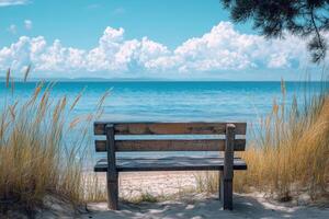 A serene beach scene featuring a wooden bench overlooking calm waters and fluffy clouds. photo