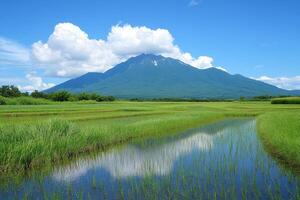 A serene landscape featuring a mountain, lush greenery, and reflective water under a blue sky. photo