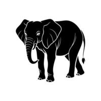 An elephant is standing in a black and white drawing vector