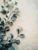 A serene arrangement of green leaves on a textured background for a calming aesthetic. photo
