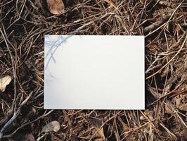 A blank white card resting on a bed of dried leaves and twigs in a natural setting. photo