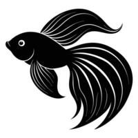 Betta Fish with Flowing Fins Silhouette on White Background canvas vector
