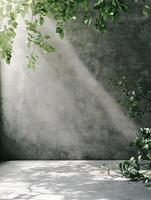 A serene, minimalistic space with natural light and greenery against a textured wall. photo
