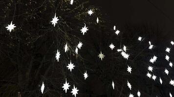 Beautiful Christmas lights shaped like stars adorning street trees in Saint Petersburg. A low-angle nighttime view emphasizing the festive atmosphere and winter charm video