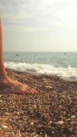 Close-Up of Womans Legs in Black Swimsuit and Pareo Entering the Sea video