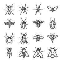 A set of insect drawings in black and white vector
