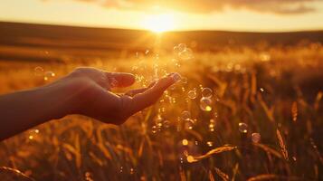 Soap Bubbles Floating in Sunset with Hand and Blurred Grass Background photo