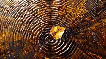 Concentric Water Ripples in Shallow Pool with Floating Autumn Leaf photo