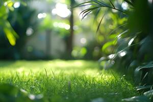 A green grassy area with sunlight shining through it photo