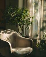 A chair sitting in front of a window with a plant in the background photo