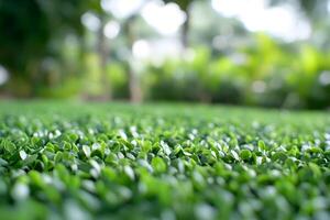 A close up of a green grassy area photo