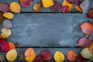 Autumn leaves on a wooden table photo